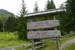 11-spominski-park