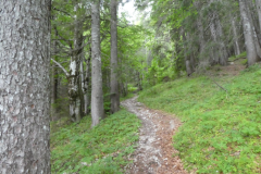 26-erjavceva-koca
