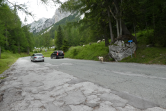 28-erjavceva-koca