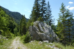 38-izvir-soce