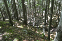 41-izvir-soce