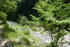 43-izvir-soce