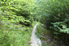 44-izvir-soce