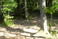 12-proti-mozjanci
