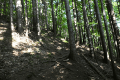 14-proti-mozjanci