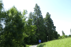 32-proti-turnu