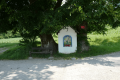35-proti-turnu