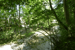 39-proti-jezeru-crnava
