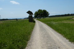 43-proti-bregu