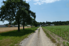 44-proti-bregu