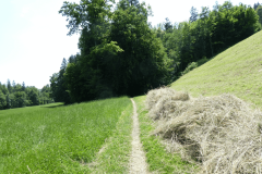 58-proti-kranju