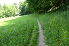 59-proti-kranju