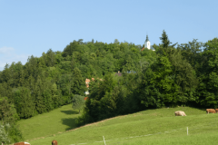 8-proti-meznarju