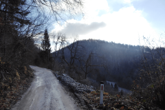 89-proti-mozjanci