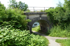 21-senica