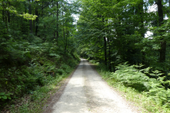 34-osolnik
