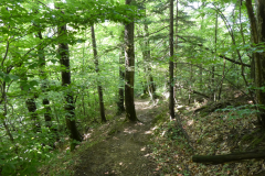 38-skofja-loka