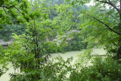6-sava