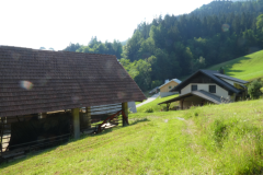37-lubnik