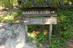 41-lubnik