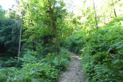 26-besnica
