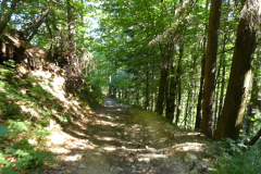 27-besnica