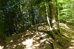 29-besnica