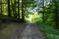 30-besnica
