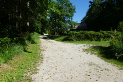 33-besnica