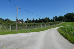 34-besnica