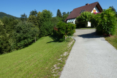 35-besnica