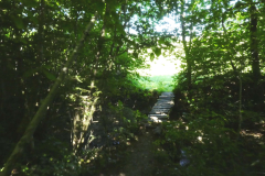 36-besnica