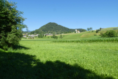 37-besnica