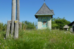 41-besnica
