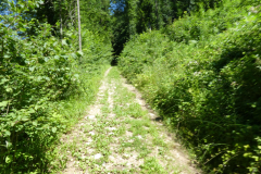 61-podbrezje