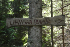 27-lipniska-planina