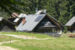 37-jelovica