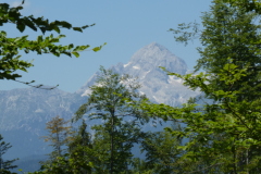 42-triglav