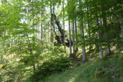 43-secnja