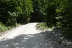 44-bohinjska-bistrica