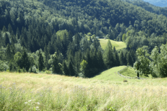 29-proti-pokljuki