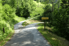 31-proti-pokljuki