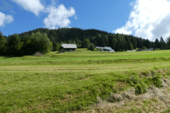 33-proti-pokljuki