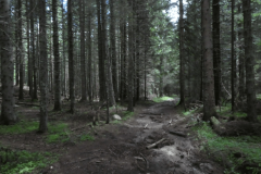 50-pokljuka