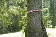 51-smerokaz-bled