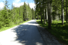 53-pokljuka