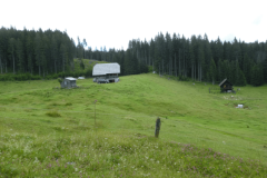 57grajska
