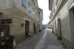 25-radovljica