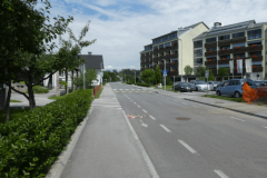 31-radovljica