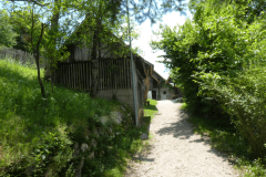 44-finzgar
